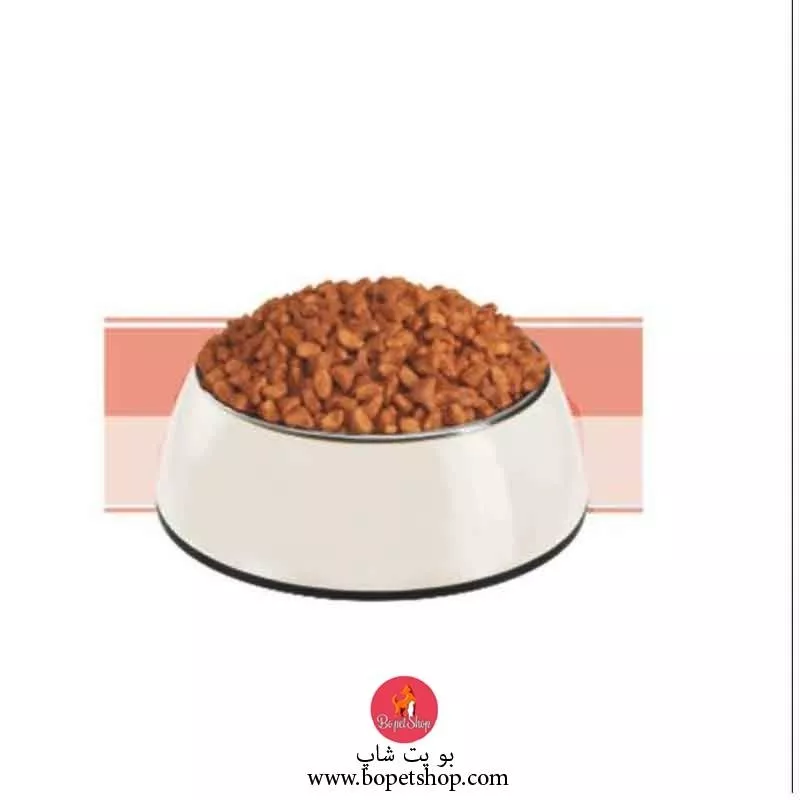 خرید غذای خشک بچه گربه (کیتن) رفلکس با طعم مرغ و برنج Reflex kitten food chicken and rice